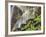 Rainbow at the Base of Bridal Veil Falls, Yosemite National Park, California, USA-Christopher Talbot Frank-Framed Photographic Print