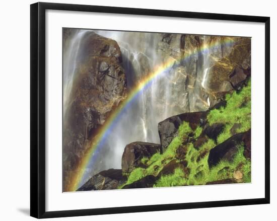 Rainbow at the Base of Bridal Veil Falls, Yosemite National Park, California, USA-Christopher Talbot Frank-Framed Photographic Print