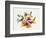 Rainbow Bouquet 2-Paulo Romero-Framed Art Print