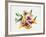 Rainbow Bouquet 2-Paulo Romero-Framed Art Print