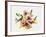 Rainbow Bouquet 2-Paulo Romero-Framed Art Print