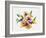 Rainbow Bouquet 2-Paulo Romero-Framed Art Print