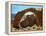 Rainbow Bridge National Monument is a Star Attraction at Lake Powell on the Utah Side-null-Framed Premier Image Canvas