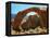 Rainbow Bridge National Monument is a Star Attraction at Lake Powell on the Utah Side-null-Framed Premier Image Canvas