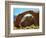 Rainbow Bridge National Monument is a Star Attraction at Lake Powell on the Utah Side-null-Framed Photographic Print