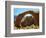 Rainbow Bridge National Monument is a Star Attraction at Lake Powell on the Utah Side-null-Framed Photographic Print