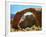 Rainbow Bridge National Monument is a Star Attraction at Lake Powell on the Utah Side-null-Framed Photographic Print
