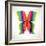 Rainbow Butterfly-Orkidia-Framed Art Print