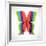 Rainbow Butterfly-Orkidia-Framed Art Print