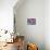 Rainbow Cats-Oxana Zaiko-Mounted Giclee Print displayed on a wall