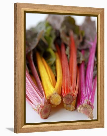 Rainbow Chard-Sebastian Vogt-Framed Premier Image Canvas