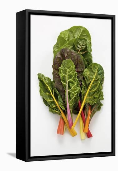 Rainbow Chard-Herbert Lehmann-Framed Premier Image Canvas