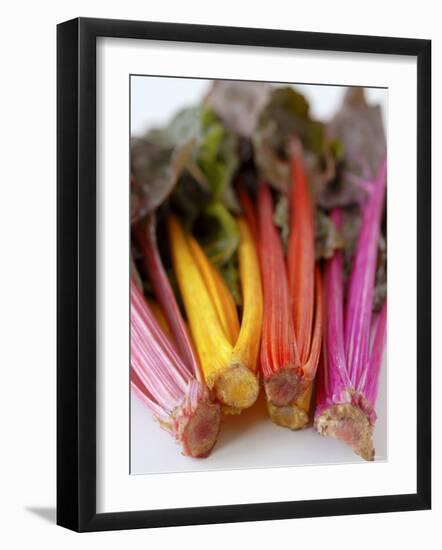 Rainbow Chard-Sebastian Vogt-Framed Photographic Print