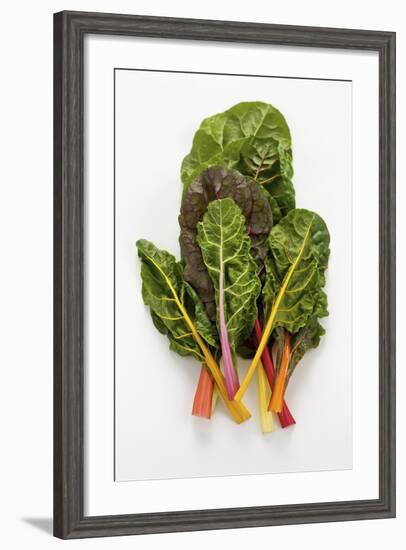 Rainbow Chard-Herbert Lehmann-Framed Photographic Print