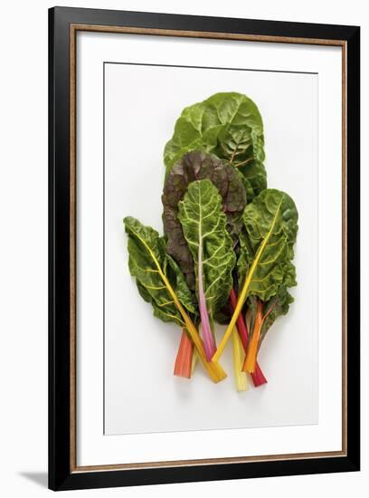 Rainbow Chard-Herbert Lehmann-Framed Photographic Print