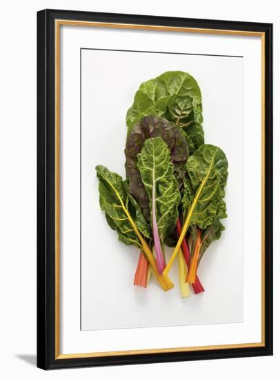 Rainbow Chard-Herbert Lehmann-Framed Photographic Print