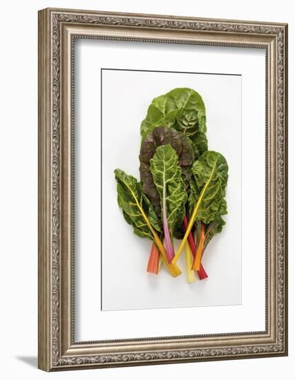 Rainbow Chard-Herbert Lehmann-Framed Photographic Print