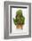 Rainbow Chard-Herbert Lehmann-Framed Photographic Print