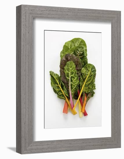 Rainbow Chard-Herbert Lehmann-Framed Photographic Print