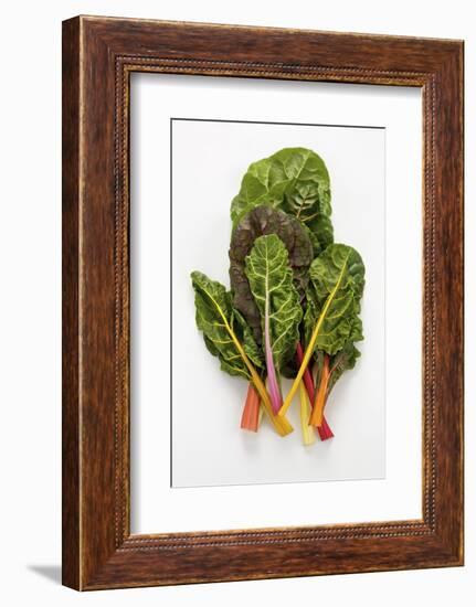 Rainbow Chard-Herbert Lehmann-Framed Photographic Print