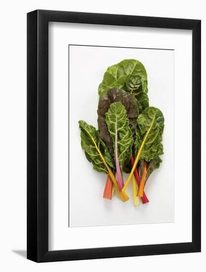 Rainbow Chard-Herbert Lehmann-Framed Photographic Print