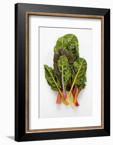 Rainbow Chard-Herbert Lehmann-Framed Photographic Print