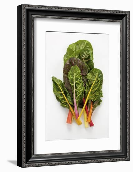 Rainbow Chard-Herbert Lehmann-Framed Photographic Print