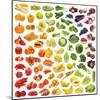 Rainbow Collection of Fruits and Vegetables-egal-Mounted Photographic Print