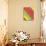Rainbow Colors-Maria Trad-Premium Giclee Print displayed on a wall