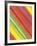 Rainbow Colors-Maria Trad-Framed Premium Giclee Print