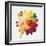 Rainbow Daisy 1-Paulo Romero-Framed Art Print