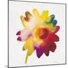 Rainbow Daisy 1-Paulo Romero-Mounted Art Print