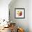 Rainbow Daisy 1-Paulo Romero-Framed Art Print displayed on a wall