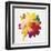 Rainbow Daisy 1-Paulo Romero-Framed Art Print