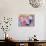 Rainbow Days, 2000-Gloria Wallington-Mounted Giclee Print displayed on a wall