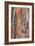 Rainbow Eucalyptus Detail, Kauai-Vincent James-Framed Photographic Print