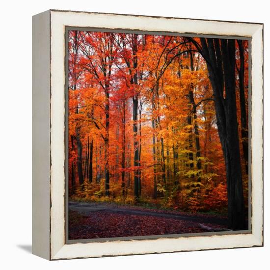 Rainbow Fall-Philippe Sainte-Laudy-Framed Premier Image Canvas