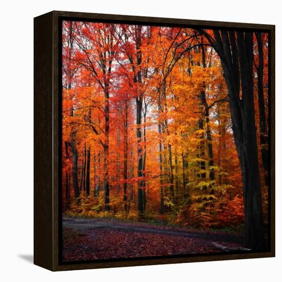 Rainbow Fall-Philippe Sainte-Laudy-Framed Premier Image Canvas