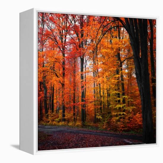 Rainbow Fall-Philippe Sainte-Laudy-Framed Premier Image Canvas