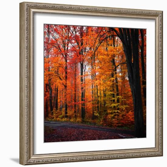 Rainbow Fall-Philippe Sainte-Laudy-Framed Photographic Print