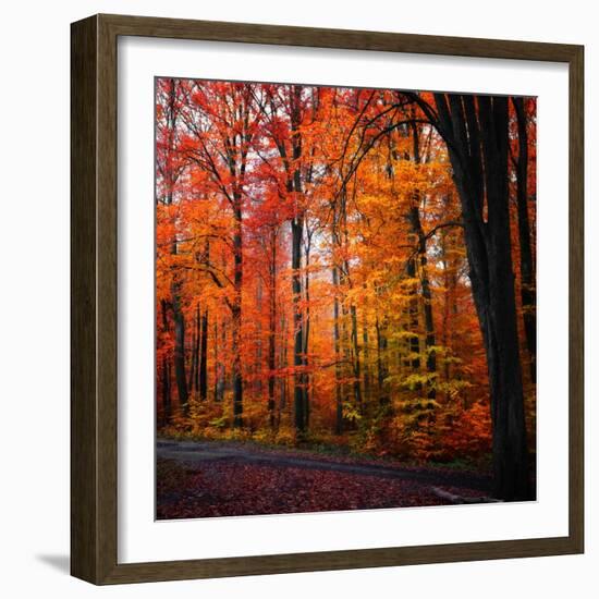 Rainbow Fall-Philippe Sainte-Laudy-Framed Photographic Print