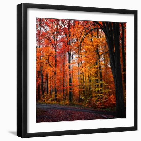 Rainbow Fall-Philippe Sainte-Laudy-Framed Photographic Print