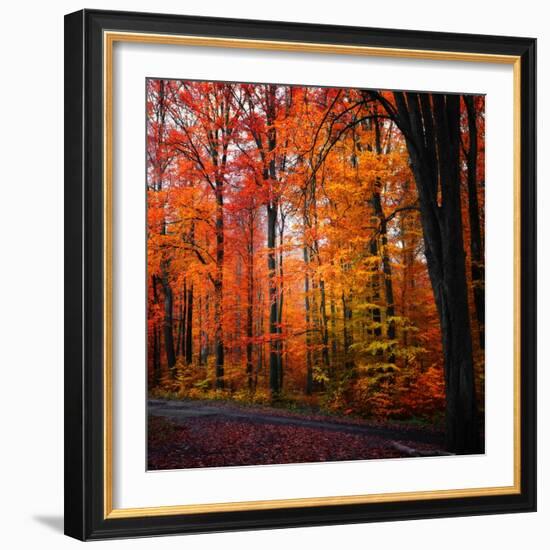 Rainbow Fall-Philippe Sainte-Laudy-Framed Photographic Print