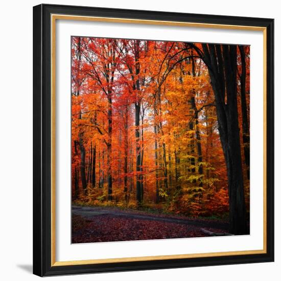 Rainbow Fall-Philippe Sainte-Laudy-Framed Photographic Print