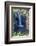 Rainbow Falls, Hilo, Hawaii Island (Big Island), Hawaii, United States of America, Pacific-Rolf Richardson-Framed Photographic Print