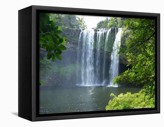 Rainbow Falls, Kerikeri, Northland, New Zealand-David Wall-Framed Premier Image Canvas