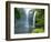 Rainbow Falls, Kerikeri, Northland, New Zealand-David Wall-Framed Photographic Print