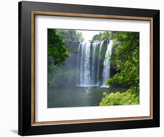 Rainbow Falls, Kerikeri, Northland, New Zealand-David Wall-Framed Photographic Print