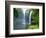 Rainbow Falls, Kerikeri, Northland, New Zealand-David Wall-Framed Photographic Print