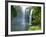 Rainbow Falls, Kerikeri, Northland, New Zealand-David Wall-Framed Photographic Print